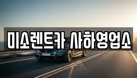 부산광역시 사하구 신평동 렌트카 전문 미소렌트카 사하영업소