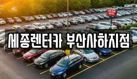 부산광역시 사하구 신평동 렌트카 전문 세종렌터카 부산사하지점