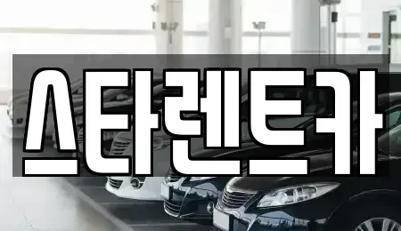 부산광역시 사하구 신평동 렌트카 전문 스타렌트카