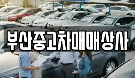 부산광역시 사하구 신평동 중고차매매 전문 부산중고차매매상사