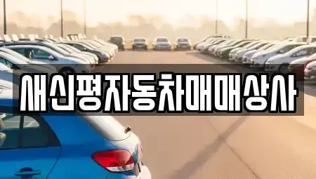 부산광역시 사하구 신평동 중고차매입 전문 새신평자동차매매상사