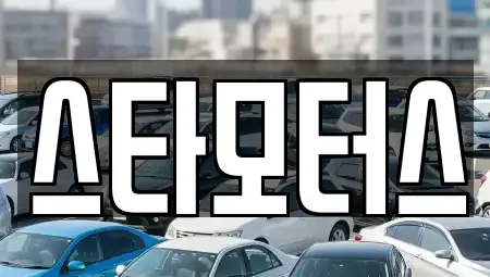 부산광역시 사하구 신평동 중고차매입 전문 스타모터스