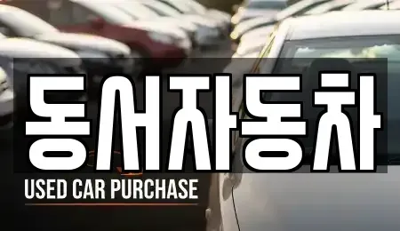부산광역시 서구 동대신동3가 중고차 전문 동서자동차