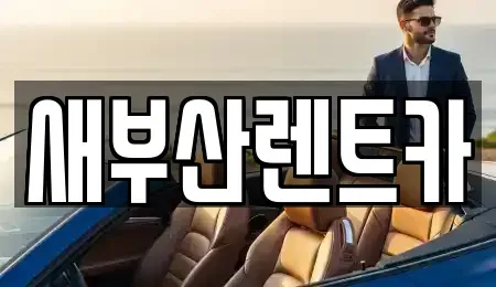 부산광역시 서구 토성동4가 렌트카 전문 새부산렌트카