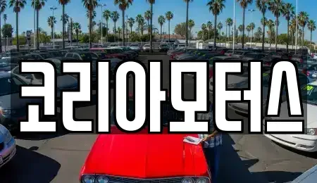 부산광역시 서구 토성동4가 중고차매매 전문 코리아모터스