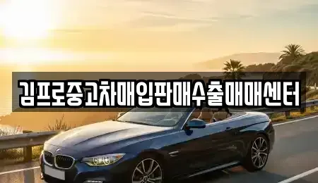 부산광역시 서구 토성동4가 중고차매입 전문 김프로중고차매입판매수출매매센터