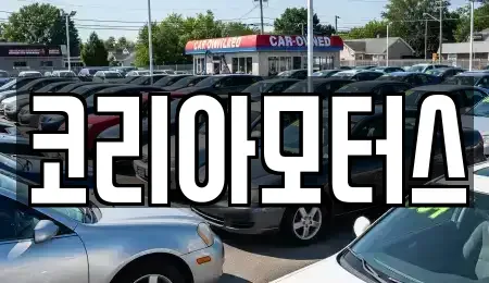 부산광역시 수영구 민락동 중고차 전문 코리아모터스