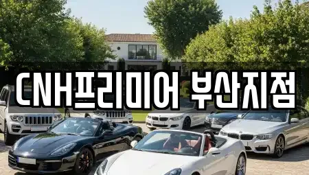 부산광역시 중구 대청동2가 렌트카 전문 CNH프리미어 부산지점