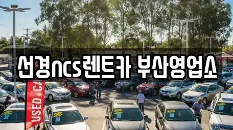 부산광역시 중구 대청동2가 렌트카 전문 선경ncs렌트카 부산영업소