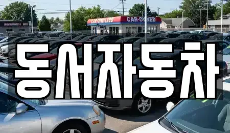부산광역시 중구 대청동2가 중고차 전문 동서자동차