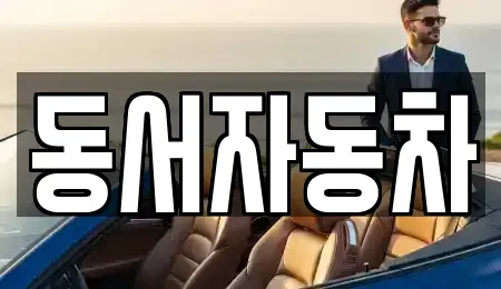 부산광역시 중구 보수동2가 중고차매매 전문 동서자동차