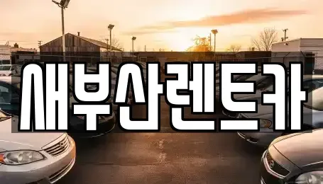 부산광역시 중구 부평동4가 렌트카 전문 새부산렌트카