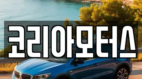 부산광역시 중구 부평동4가 중고차 전문 코리아모터스
