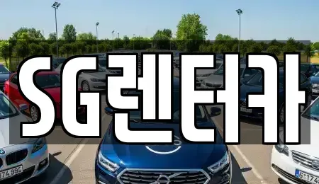 부산광역시 중구 중앙동3가 렌트카 전문 SG렌터카