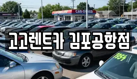 서울 강서구 공항동 렌트카 전문 고고렌트카 김포공항점