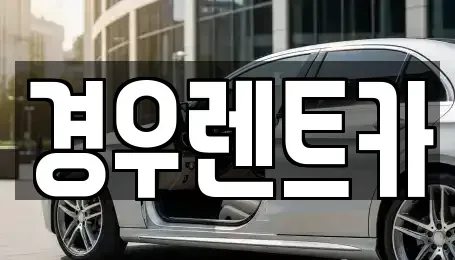 서울 강서구 공항동 장기렌트카 전문 경우렌트카