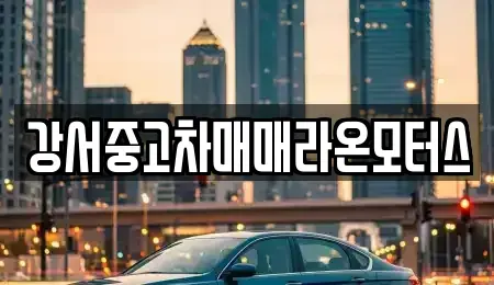 서울 강서구 공항동 중고차매매 전문 강서중고차매매라온모터스