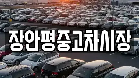 서울 강서구 공항동 중고차매매 전문 장안평중고차시장