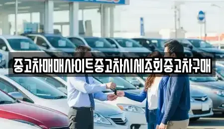 서울 강서구 공항동 중고차매매 전문 중고차매매사이트중고차시세조회중고차구매