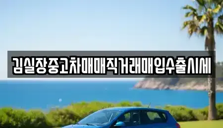 서울 강서구 공항동 중고차매입 전문 김실장중고차매매직거래매입수출시세