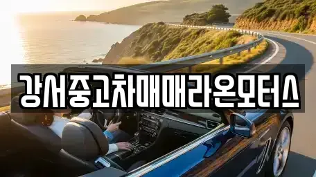 서울 강서구 오쇠동 중고차,렌트카,중고차매입,중고차매매,장기렌트카,단기렌트카