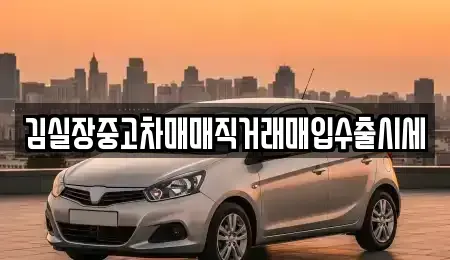 서울 강서구 오쇠동 중고차 전문 김실장중고차매매직거래매입수출시세