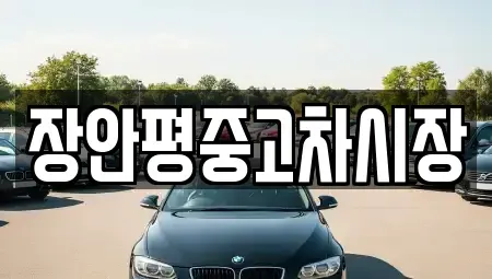 서울 강서구 오쇠동 중고차 전문 장안평중고차시장
