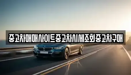 서울 강서구 오쇠동 중고차 전문 중고차매매사이트중고차시세조회중고차구매