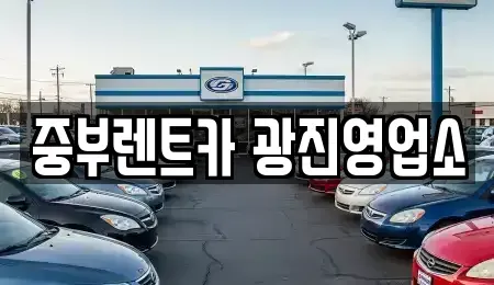 서울 광진구 구의동 단기렌트카 전문 중부렌트카 광진영업소