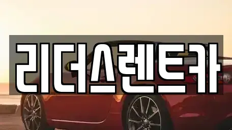 서울 광진구 구의동 렌트카 전문 리더스렌트카