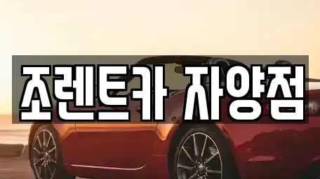 서울 광진구 구의동 렌트카 전문 조렌트카 자양점
