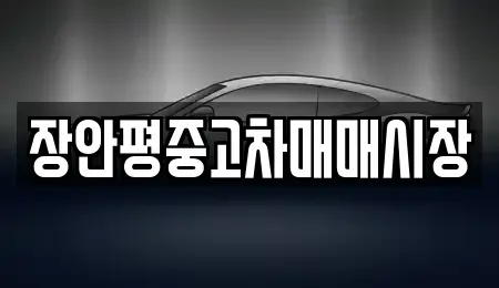 서울 광진구 구의동 중고차 전문 장안평중고차매매시장