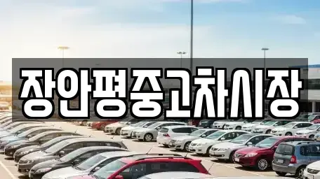 서울 광진구 구의동 중고차 전문 장안평중고차시장