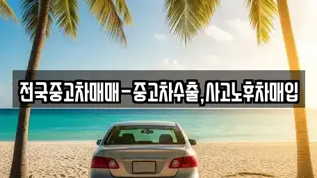 서울 광진구 구의동 중고차 전문 전국중고차매매-중고차수출,사고노후차매입