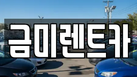 서울 구로구 구로동 단기렌트카 전문 금미렌트카