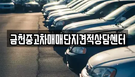 서울 금천구 중고차 전문 금천중고차매매단지견적상담센터