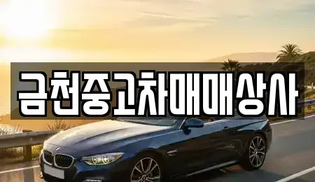 서울 금천구 중고차 전문 금천중고차매매상사