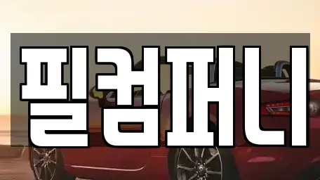 서울 금천구 중고차 전문 필컴퍼니