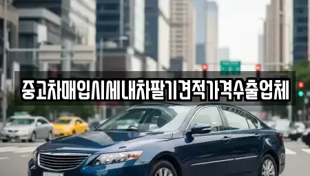 서울 금천구 중고차매입 전문 중고차매입시세내차팔기견적가격수출업체