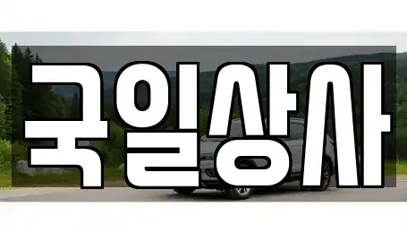 서울 동대문구 장안동 중고차매매 전문 국일상사
