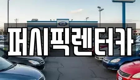 서울 마포구 마포동 장기렌트카 전문 퍼시픽렌터카