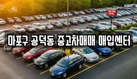 서울 마포구 마포동 중고차매매,단기렌트카,중고차매입,장기렌트카,중고차,렌트카