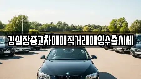 서울 마포구 마포동 중고차매입 전문 김실장중고차매매직거래매입수출시세