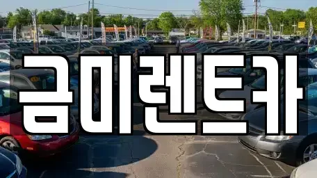 서울 마포구 상수동 렌트카 전문 금미렌트카