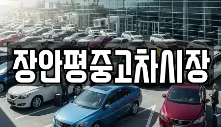 서울 마포구 상수동 중고차매매 전문 장안평중고차시장