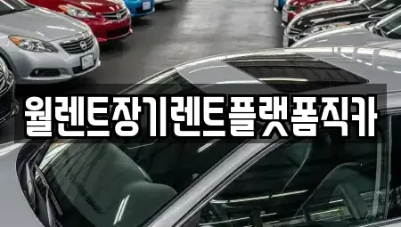 서울 서대문구 홍은동 장기렌트카 전문 월렌트장기렌트플랫폼직카