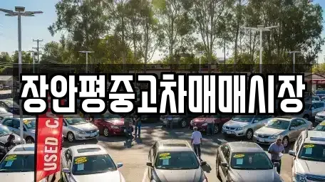 서울 서대문구 홍은동 중고차매매 전문 장안평중고차매매시장