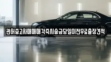 서울 서대문구 홍제동 중고차매매 전문 관허중고차매매매각즉시송금당일이전무료출장견적