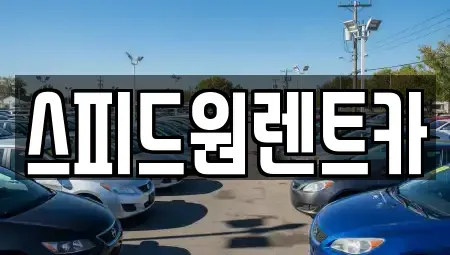 서울 성동구 옥수동 렌트카 전문 스피드원렌트카
