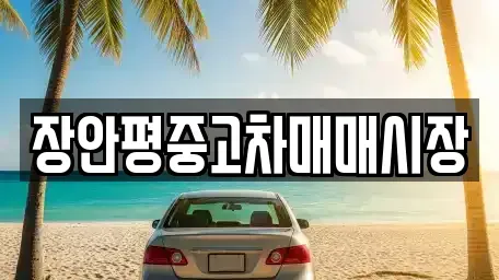 서울 성동구 옥수동 중고차 전문 장안평중고차매매시장